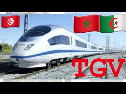 SID EVASION TGV شوفو قطار بمواصفات عالمية القطار السريع