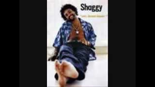 Shaggy- Mr. Boombastic
