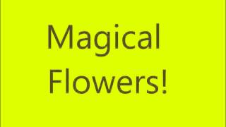 we are the winx theme lyrics