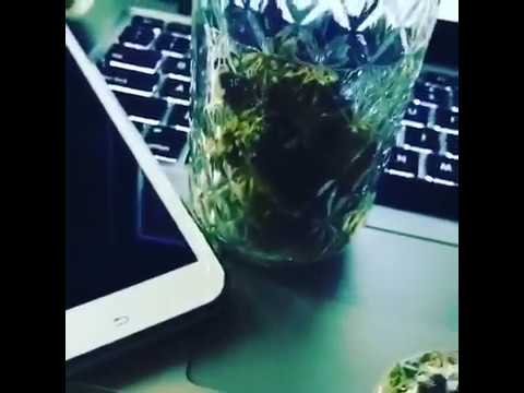 A Plus Tha Kid FREESTYLES on C-Note Cash INSTRUMENTAL \ RANCHWOOD RADIO VOL.1 (24 HR. SURVEILLANCE)