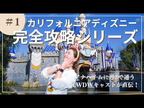 ピピロクリサリス