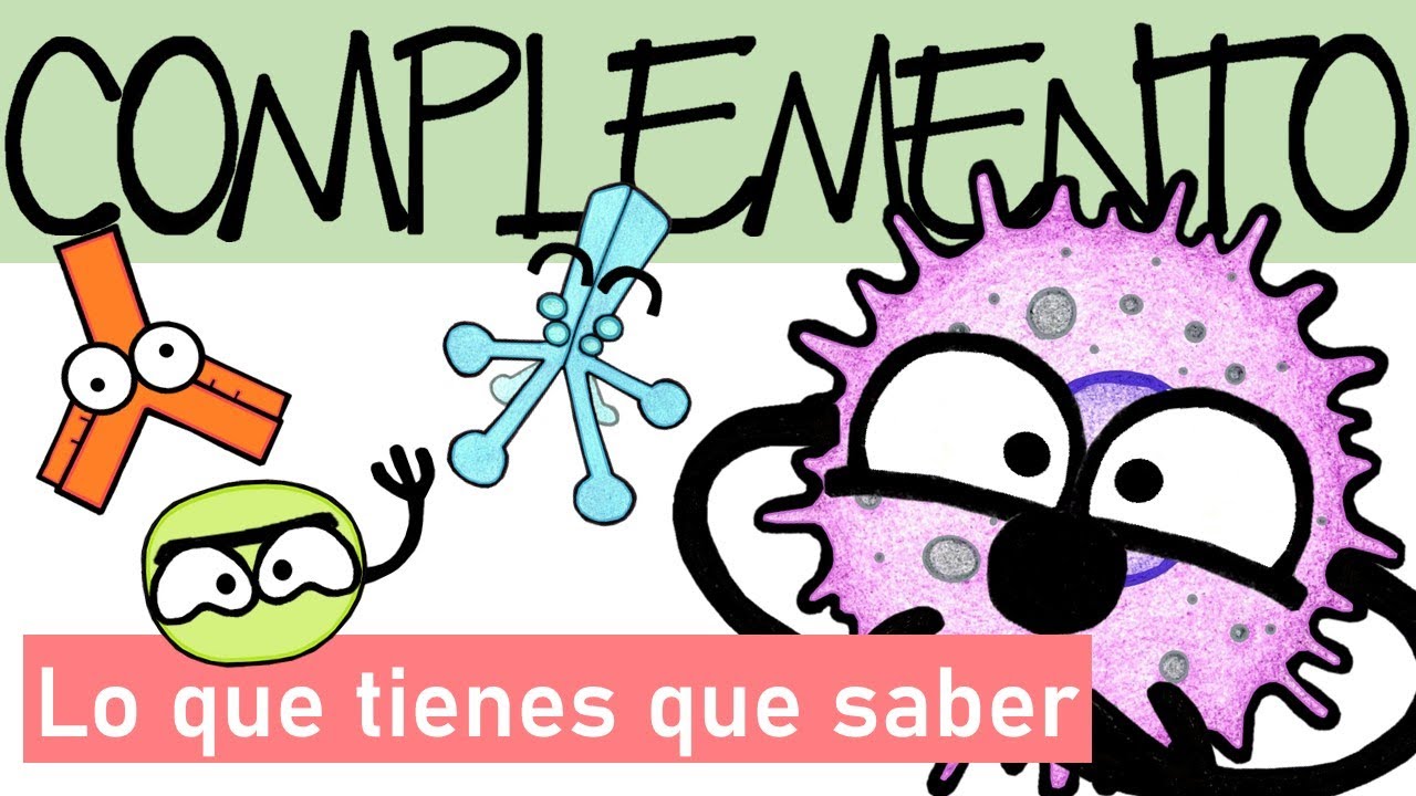 Sistema del Complemento | TODO en UNO