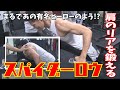 【肩トレ】肩のリアを鍛えるトレーニング「スパイダーロウ」メロン肩フォー!!!