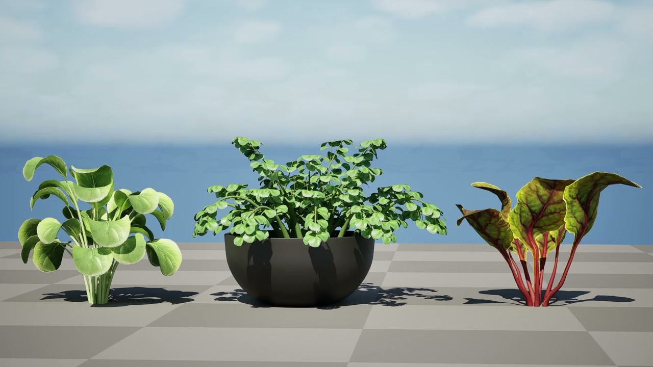 Pacote de plantas verdes com folhas Modelo 3D Modelo 3D