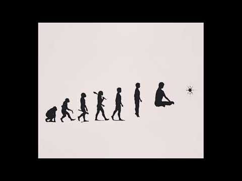 Pedro Duarte - Fly Low