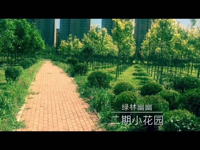 Dalian Jiaotong University (Railway Institute) video #1