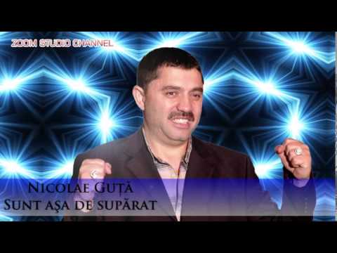 NICOLAE GUTA - SUNT ASA DE SUPARAT, ZOOM STUDIO