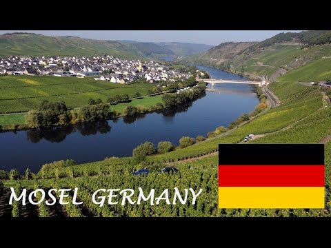 Mosel Weintourismus: Deutscher Riesling - Wein Moseltal Deutschland Tourismus