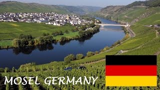 preview picture of video 'Mosel Wine tourism - German Riesling Wine from Moselle Valley - Germany wines'