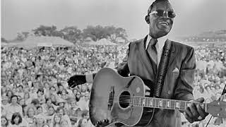 Lightnin Hopkins Fugitive Blues Live