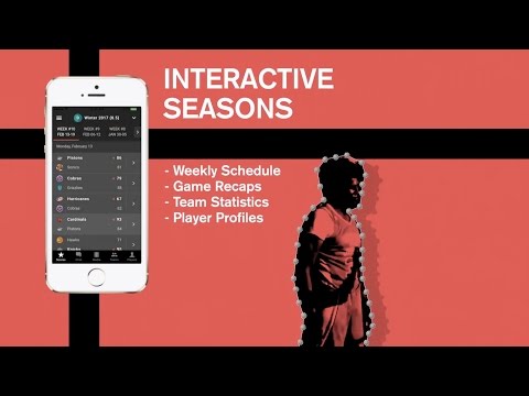 Video Image