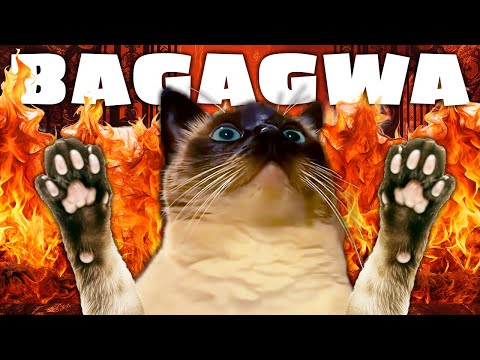 Merv the Cat CAN'T STOP Talking to BAGAGWA 😈😈