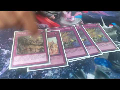 Michael Jaffer - Top 16 ARG Knoxville