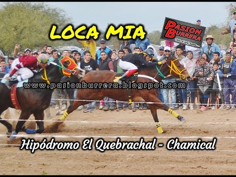 LOCA MIA, Chamical (21-07-19)