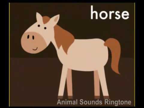 Animal Sounds ABC 123 For Kids Video