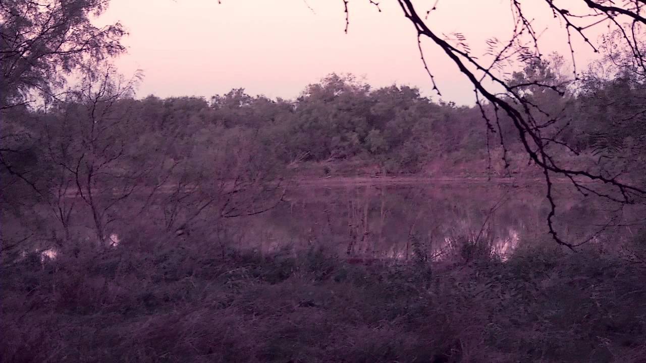 Raw Talent - Official Trailer HD