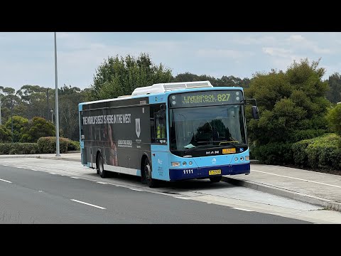Transit Systems Sydney: m/o 5924 (1111) - MAN 18.320 HOCL-R-NL Volgren CR228L