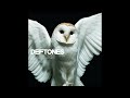 Deftones Risk