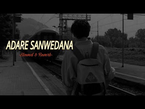Adare Sanwedana | ආදරේ සංවේදනා (Slowed and Reverb)