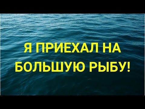 Я ПРИЕХАЛ ЛОВИТЬ БОЛЬШУЮ РЫБУ!