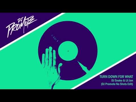 Turn Down For What (DJ Promote No Shots Clean Edit)