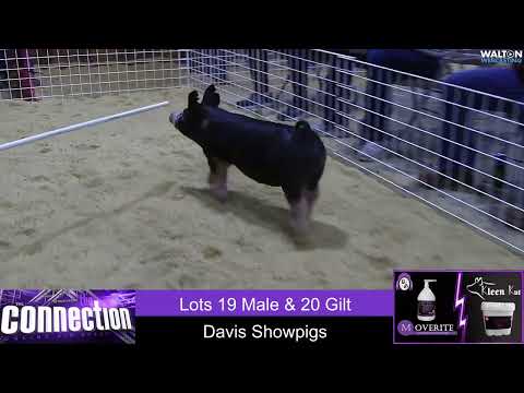 The Connection Lot 19 & 20   18 February 2022   04 05 31 PM