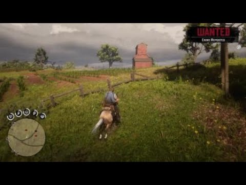 Red Dead Redemption 2 oof # 2