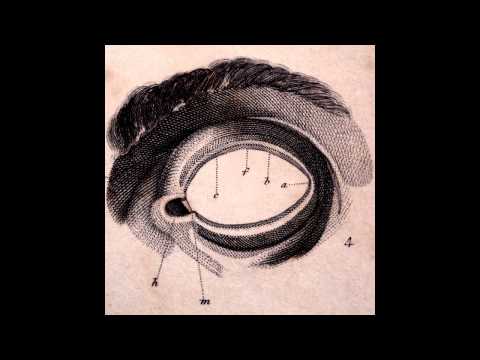 Free The Robots - The Free