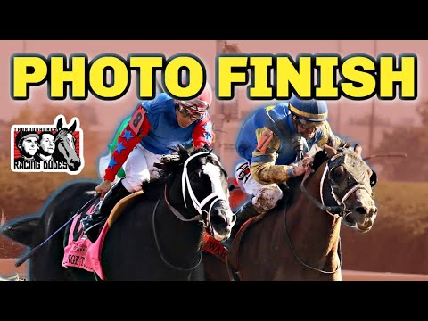 MANNY WAH Catches LONG RANGE TODDY Late For Upset | 2022 Phoenix Stakes Replay & Reaction
