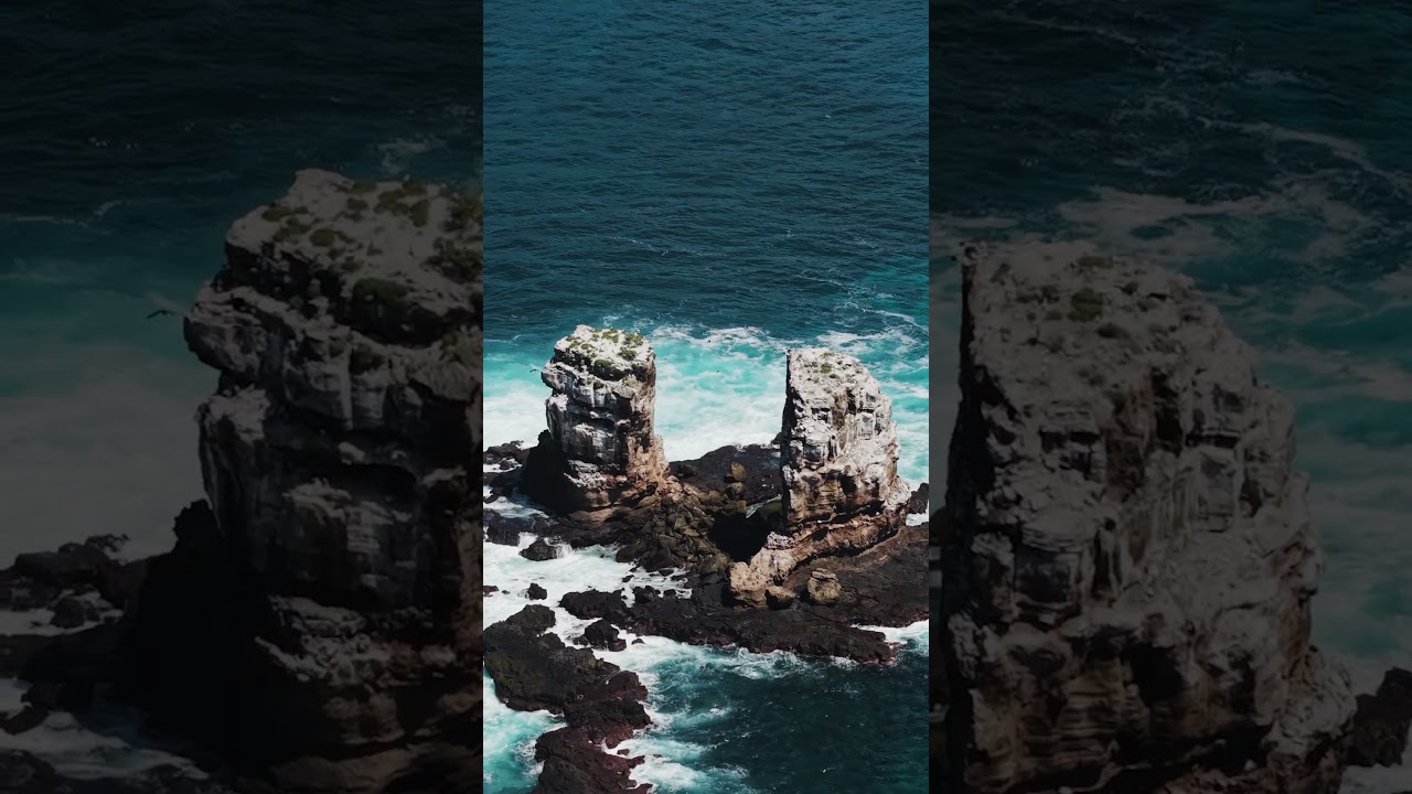 20 seconds of Darwin & Wolf above the surface
