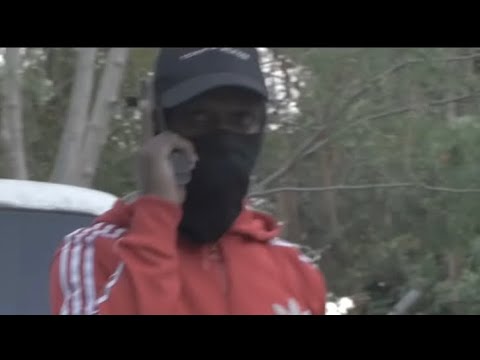 Wildlife Pettodene - Vengeance (Official Video)