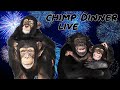 The one and ONLY Chimp Dinner Live | Jan 2 2022