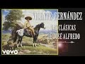 Vicente Fernández - Cuando los Años Pasen - Cover Audio