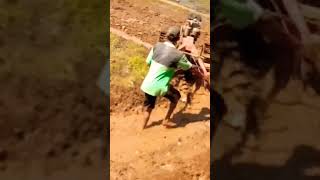 Download lagu panas terikpun tak terasa #videoshort  #bajaksawah #shorts mp3