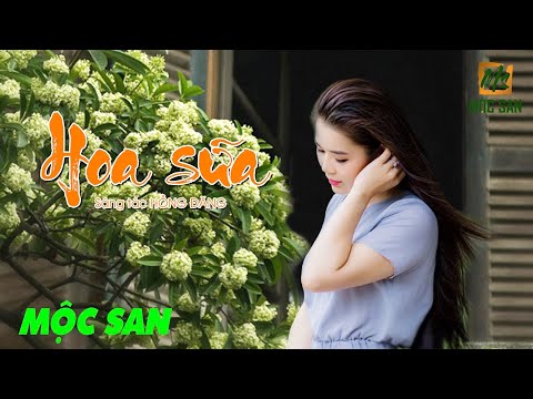 HOA SỮA ( Hồng Đăng) || Mộc San || Guitar Mèo Ú || Video lyrics || Ca khúc hay cùng năm tháng…
