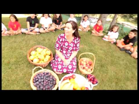 Roada Duhului - Speranta pentru copii