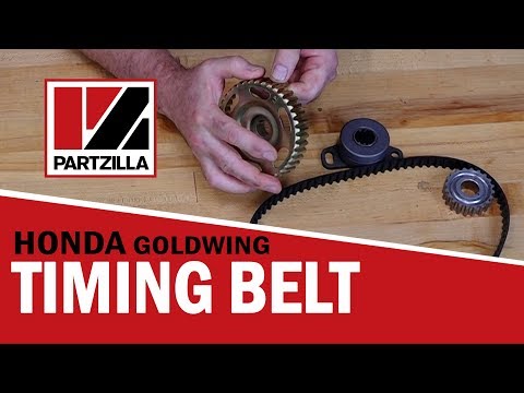 When Should I Replace the Timing Belt on a Honda Goldwing | Motorcycle Timing Belt | Partzilla.com