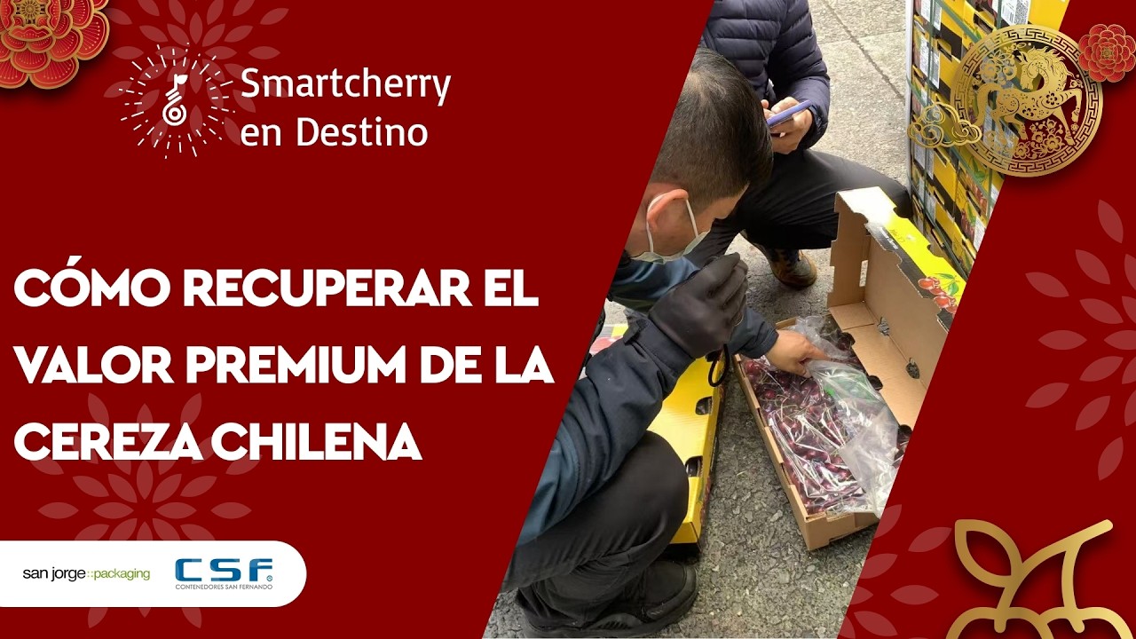 Dependencia, sobreoferta y prestigio: Los grandes retos de la temporada 2025-2026