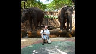 preview picture of video 'Taman Safari Trip'