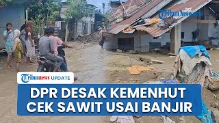 DPR RI Desak Kemenhut Evaluasi Perusahaan usai Banjir di Pidie Jaya, Diduga Pembukaan Lahan Sawit