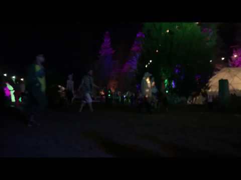Downtown Shambhala Ambiance | Shambhala Music Festival | 2019