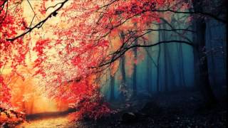 Jakwob - Somebody New [SaneBeats Remix]