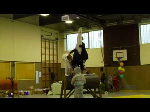 L-Team PSG Zwischen Harz&Heide, Holzpferdturnier 3.2.2018 in Volmerdingsen