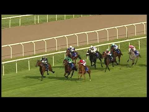 rm 20190428 07 p pariolishadwell