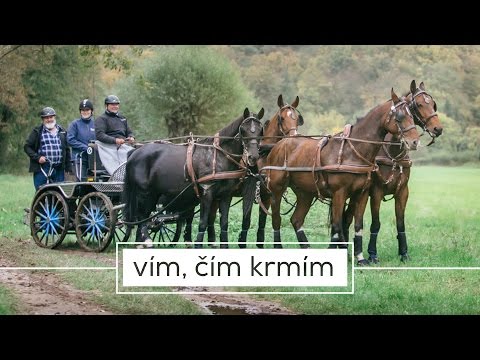 Trailer k filmu KOŇSKOU SILOU