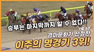 [경마명승부]능력보다 우선은? 근성! 12세 '마량' 관록 돋보여