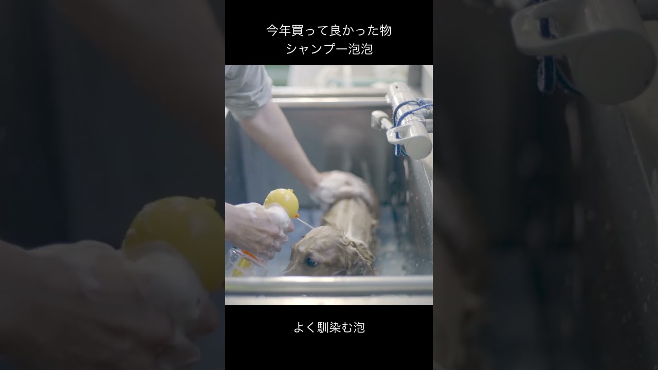 今年買って良かった物　シャンプー泡泡