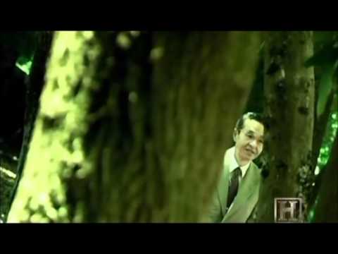 UFO Files: Pacific Bermuda Triangle