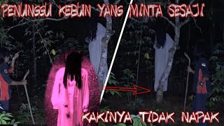 Download lagu PEMINTA MAKANAN SESAJI KUNTILANAK INI SUKA GANGGUIN ANAK PETANI mp3