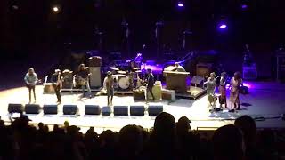 Magpie Salute "Remedy"